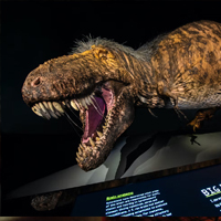 Best Attractions in Dallas Texas– Perot Museum – one of best science museums in United States of America and the world